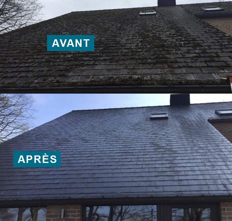 Nettoyage et démoussage toiture - COUVREUR THÉO BRETAGNE : Nettoyage et démoussage toiture, protection anti-mousse et revêtement peinture hydrofuge toit : intervention dans les Côtes-d’Armor (22) et le Finistère (29)
